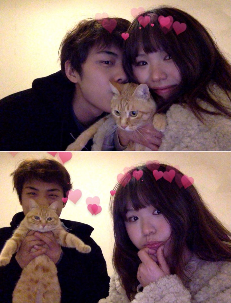 yumelings's tweet image. — ✏️ image / reference ! —

 this as your yumeship !  🐈