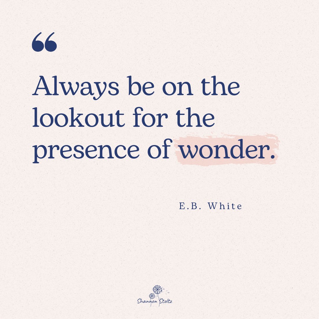 "Always be on the lookout for the presence of wonder." ~E.B. White