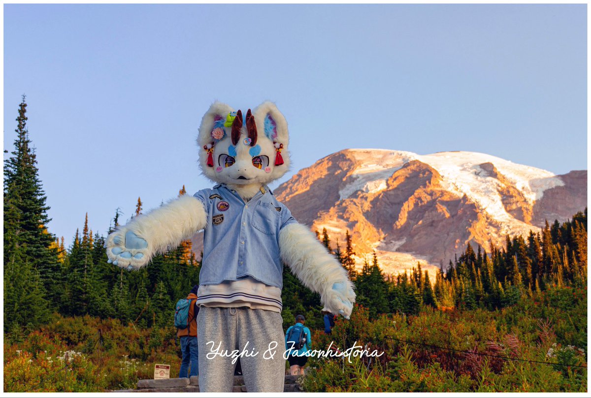 Yuzhi与纸 tweet media