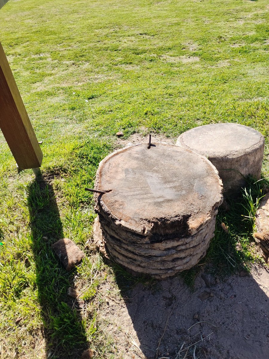 Daniel Mariño tweet media