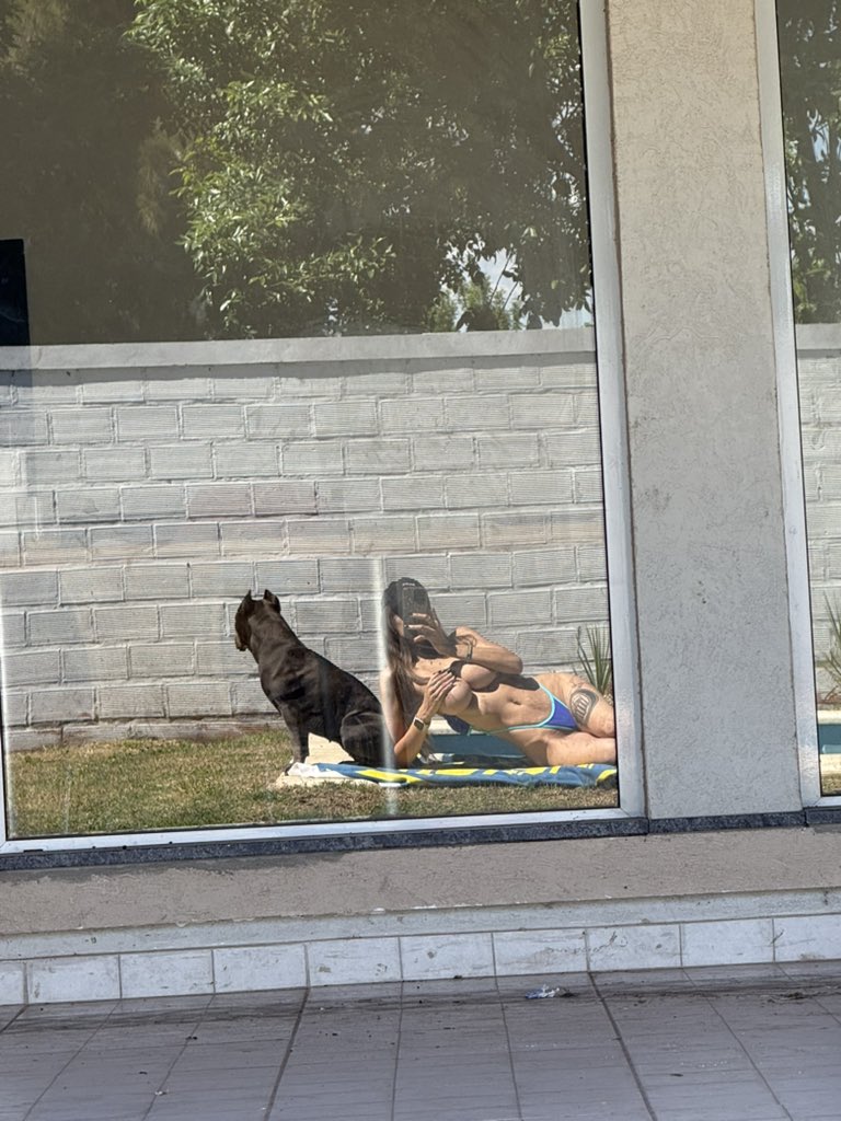 Esperando a los amigos de papá para la pile