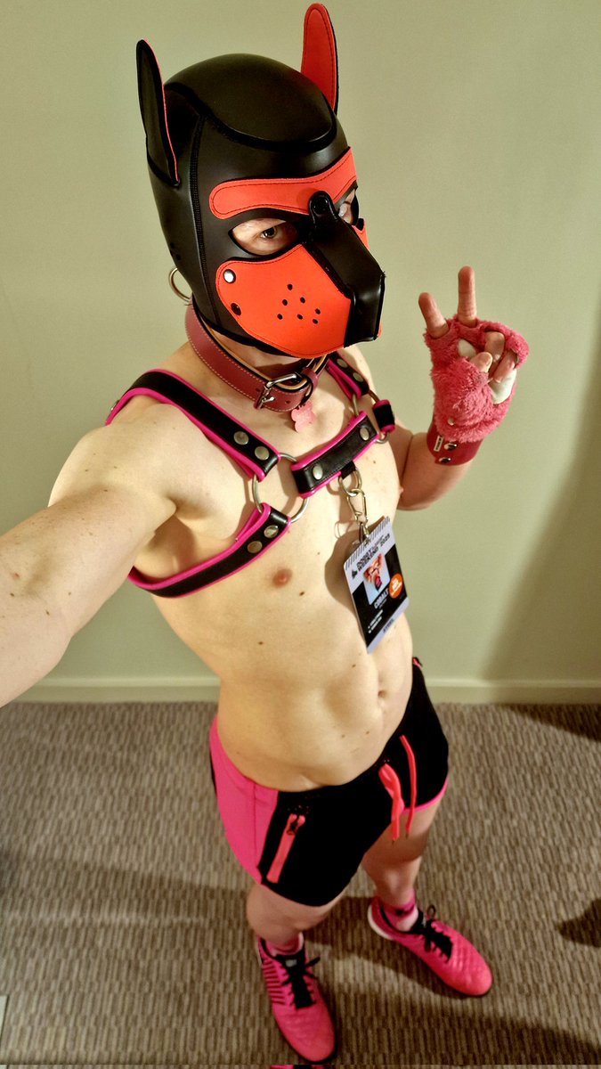 Come touch me at Doggy Weekend? :3