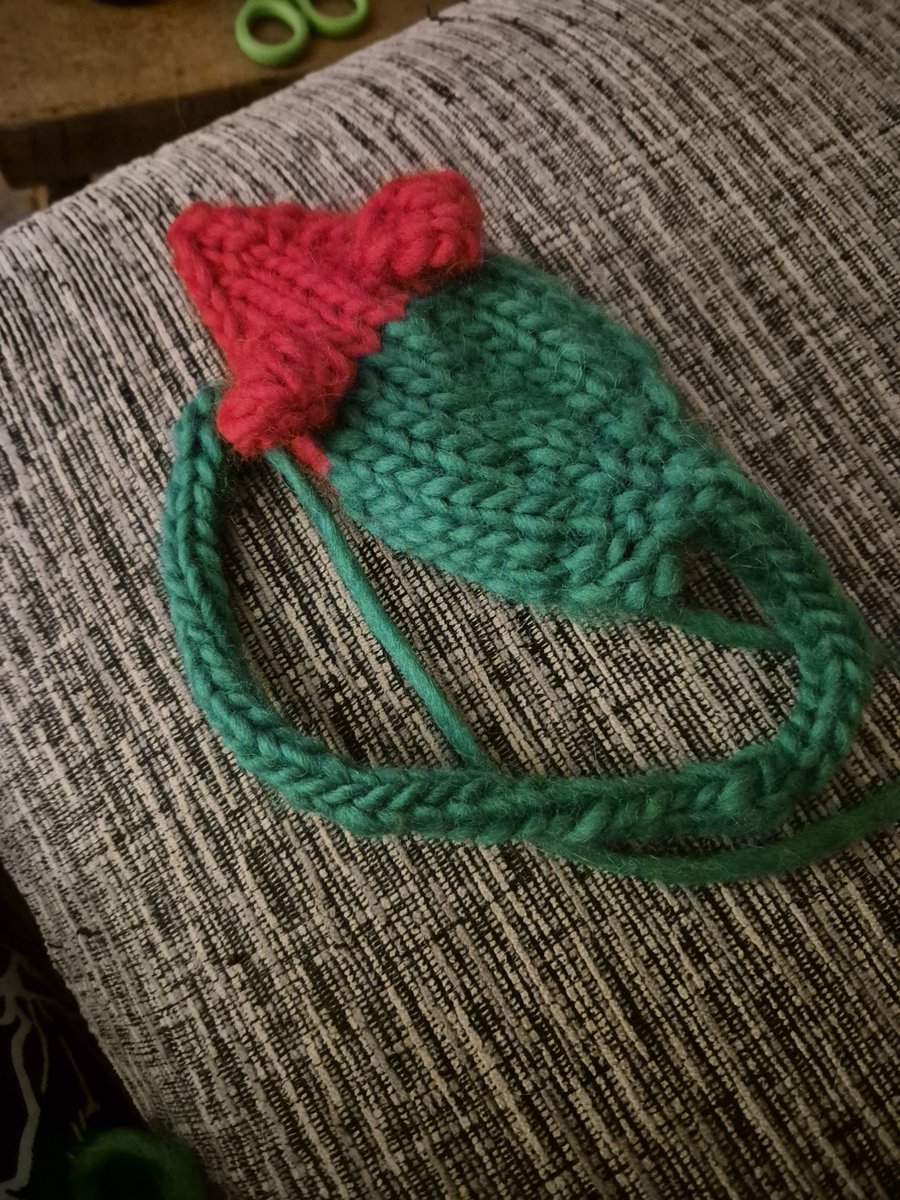 🎄🐭ready for felting 
#caturday
#CatsOnX 
#CatsOfTwitter 
#cats
#Christmas 
#catnip