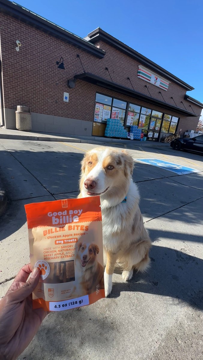 Healthy, No BS! Treat for your dog.
Simple honest ingredients 
Made with real chicken
Less than your lunch, beers, coffees.
if you have a dog and care about their treats, get them  Billie Bites
Your dog will thank you and so will Billie Boy.
goodboybillie.com