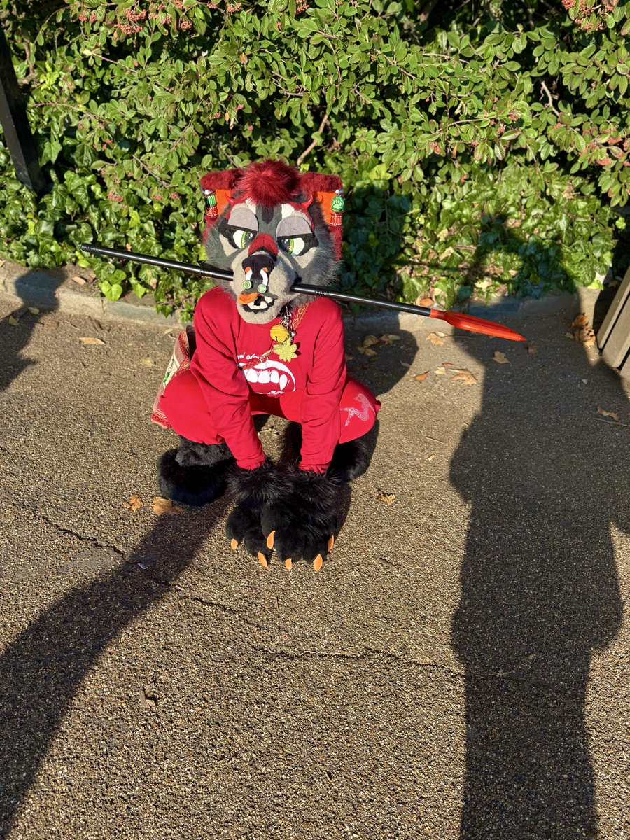 RUNNN!! ITS A CHUPA- 
oh……it’s just Taro 😅❣️ 

📸- xmoonchildandfriendsx
🪡- cozy_rain_fursuits

#furry #fursona #fursuit #fursuiting #fursona #cutefurry #ukfurry #fyp #explore #furryart #furryfandom #furrygirl #halloween #devil #londonfurs #furrycommunity #furryfriends