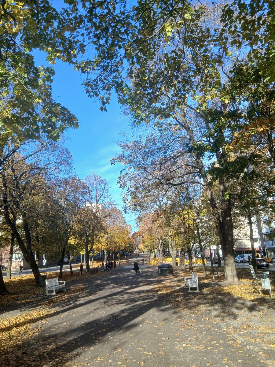 I won 64+ Dojo in Finland and got 90 more TWT point😊

But I didn't win the Tag2 tournament 😥