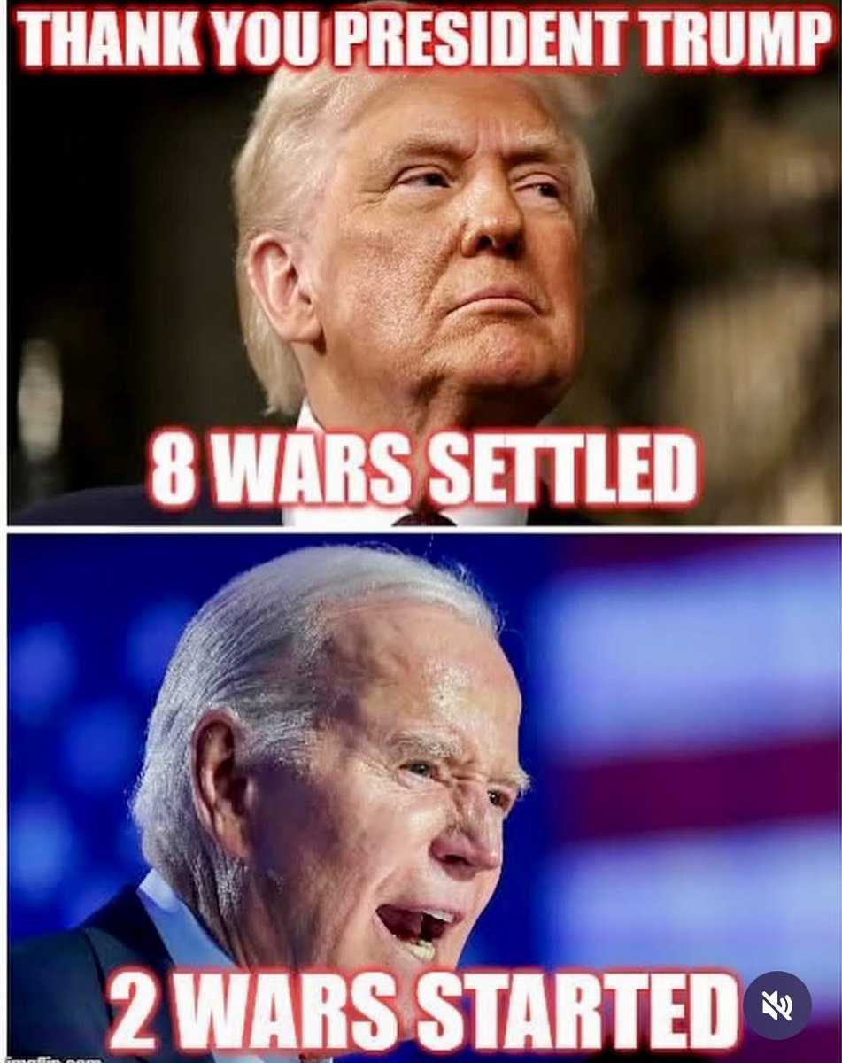 David Williams tweet media