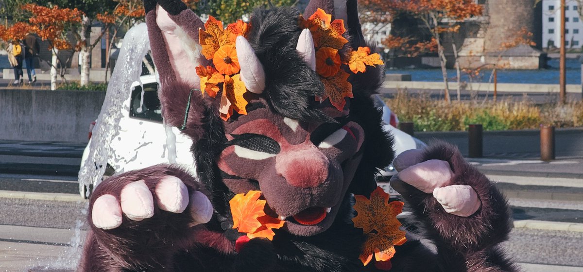 Aquliax 🍁🍂 tweet media