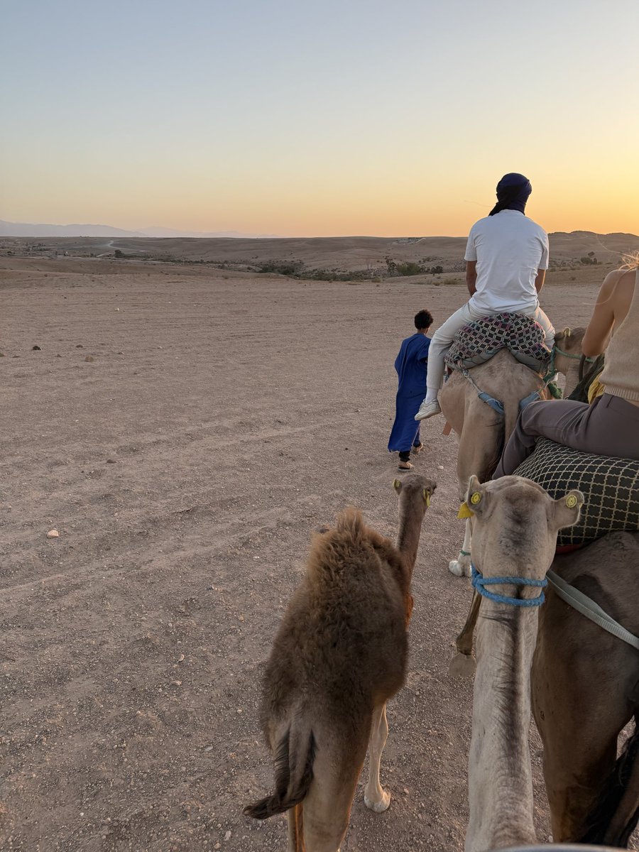 nzoopr's tweet photo. 🇲🇦 https://t.co/OtSsOy2rsn
