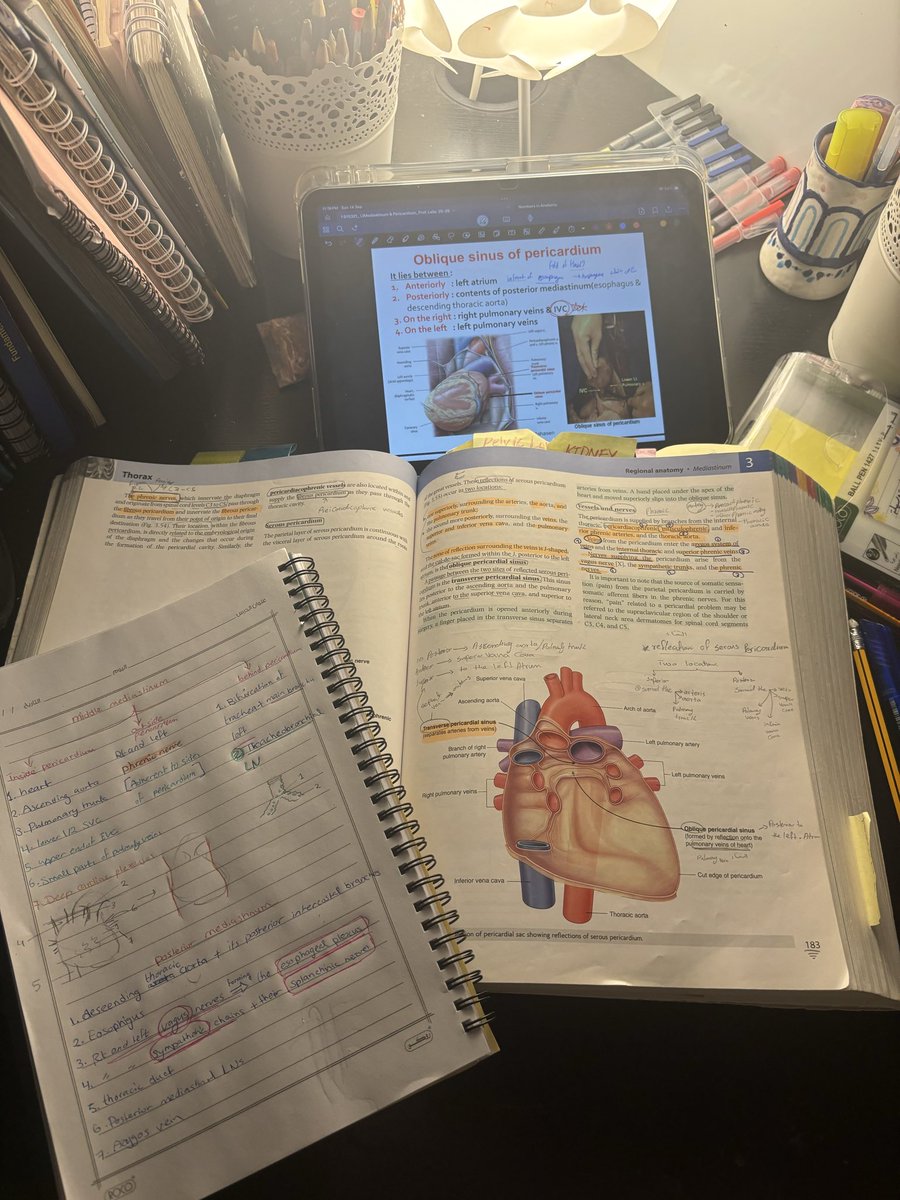 CVS Module ✅

بحمد الله انتهينا من موديول القلب والدوران 🫀
الموديول الذي سمعنا فيه لغة النبض، وتأملنا كيف يوزّع القلب الحياة لكل خلية.
رحلة علمية زادتنا شغفًا، وأيقظت فينا معنى أن نكون جزءًا من سرّ الحياة 🫀
#Med24