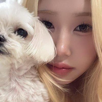 chingu_bebe's tweet photo. I dunno … she looks like an angel to me ✨
#러셔 #LUSHER #LUSHERLEE #베베 #BEBE https://t.co/HAR2SsfhtI