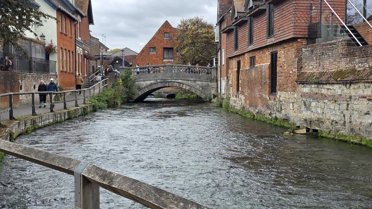 Julie Aris 🇺🇦🇬🇧 tweet media