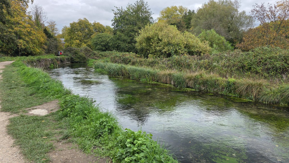 Julie Aris 🇺🇦🇬🇧 tweet media