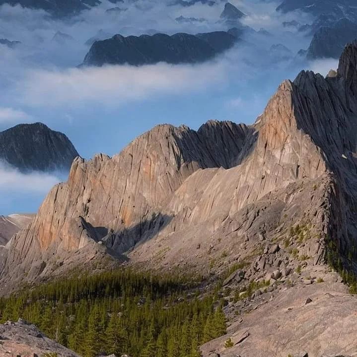 PunchingCat's tweet image. 