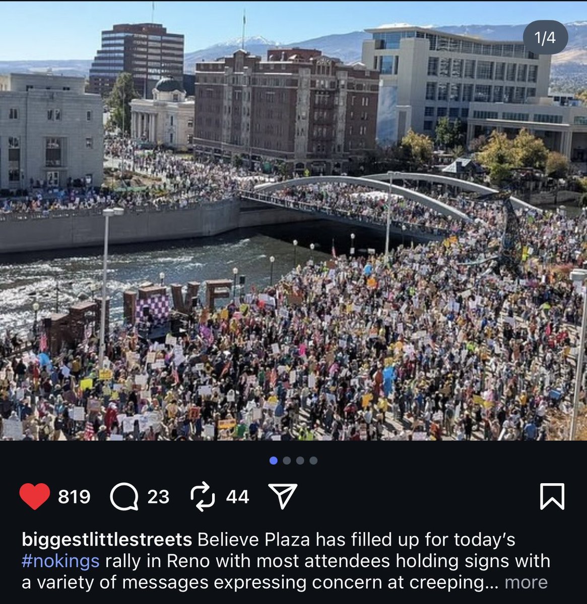 poodel mum 🇺🇸💙 tweet media