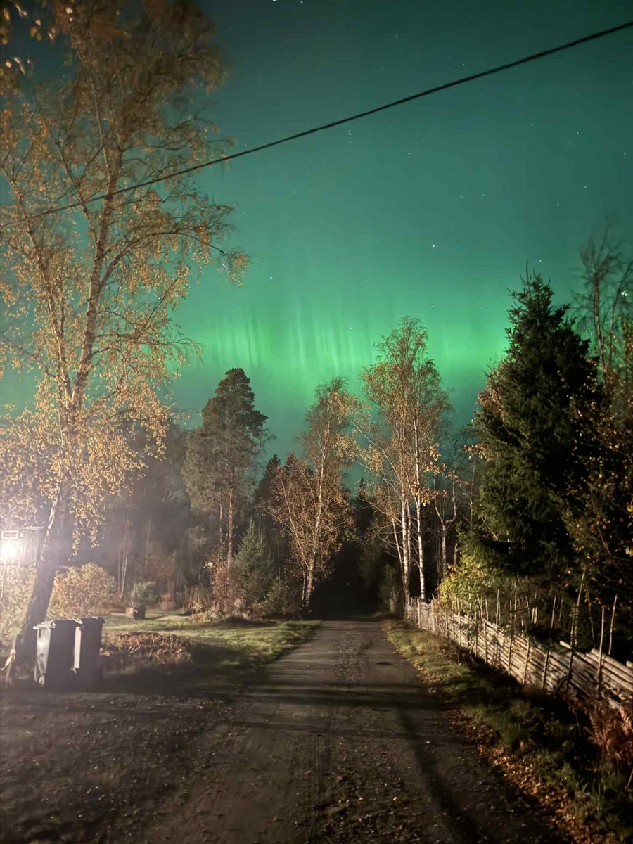 Victor Föjer tweet media