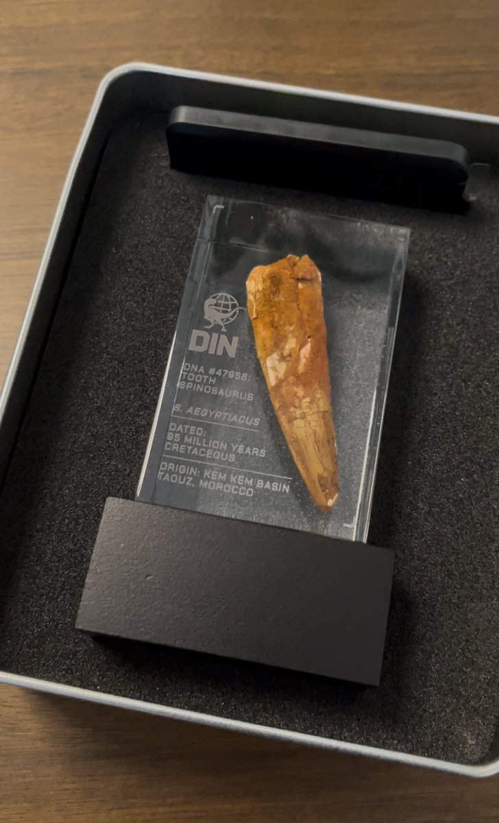 Swrve 🦖 'Jurassic' News & Content tweet media