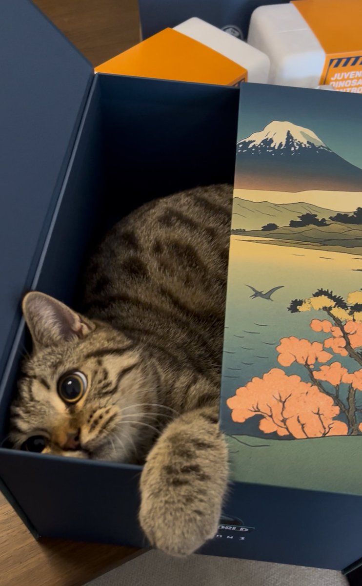 Swrve 🦖 'Jurassic' News & Content tweet media