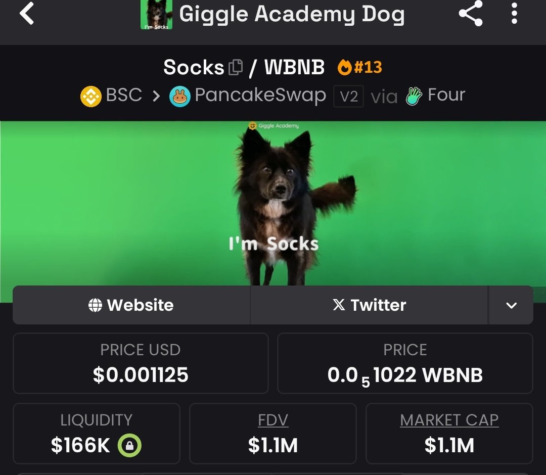 $SOCKS looks like its going to giga send to the millies 

$giggle whales have started buying 

Send it higher. Repricing imminent