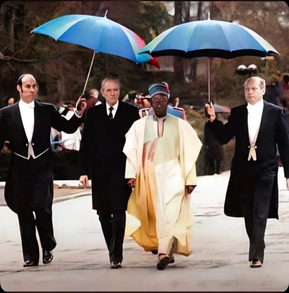 Where did we go wrong?