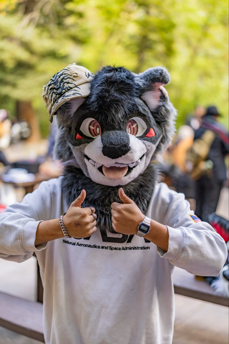 Shosun🔜BLFC tweet media