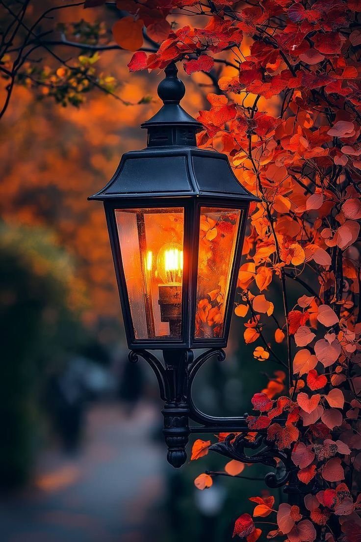 Goodnight everyone 🍁