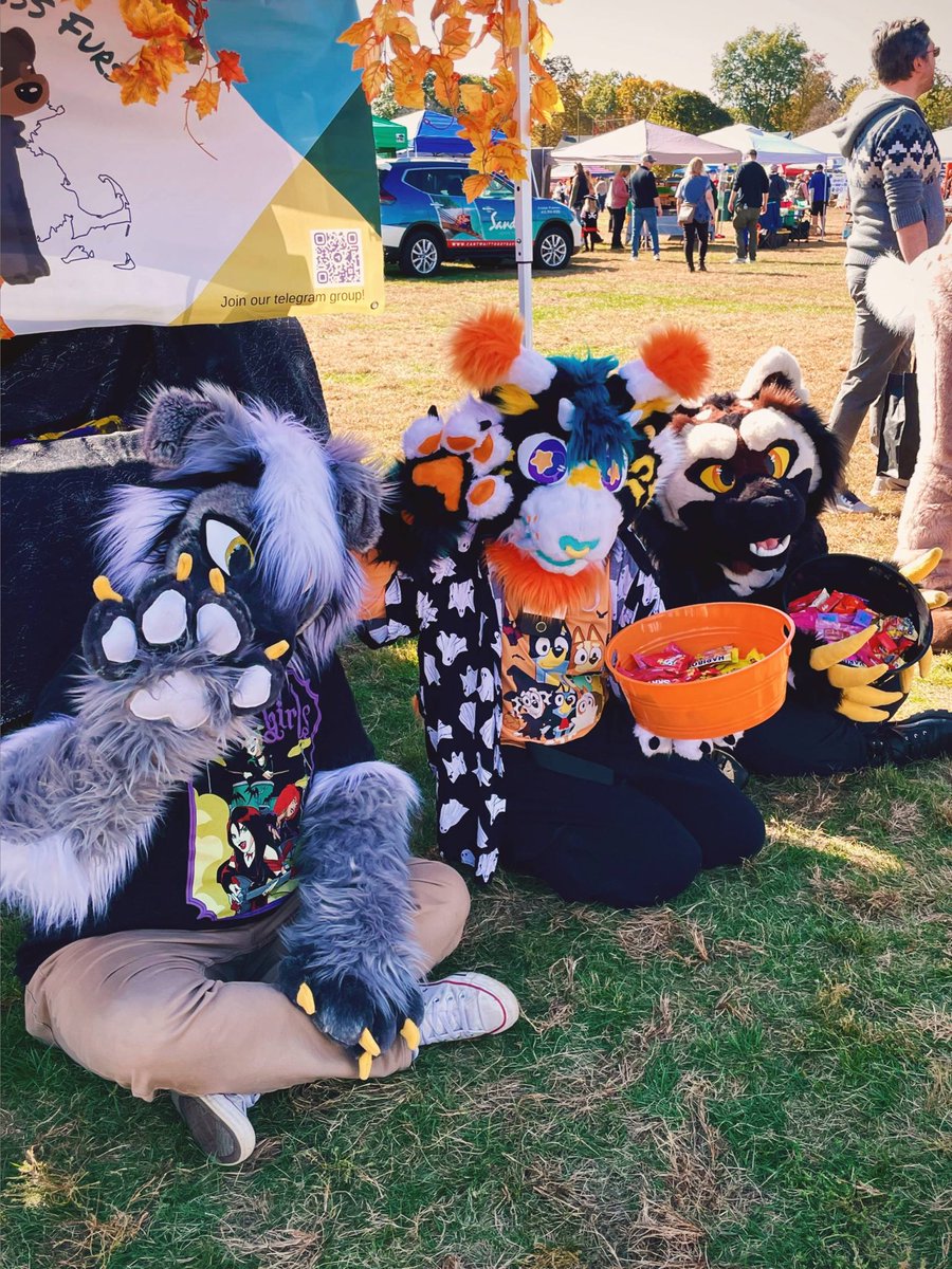 Western MA Furs tweet media