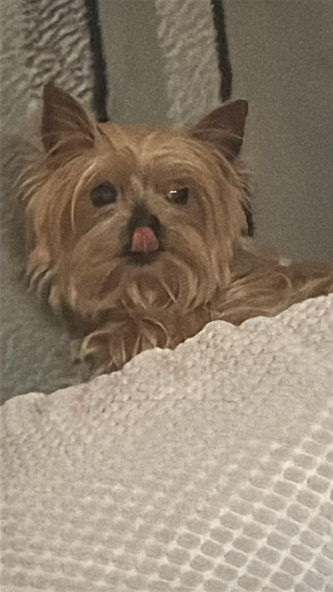 Kono Studio tweet media