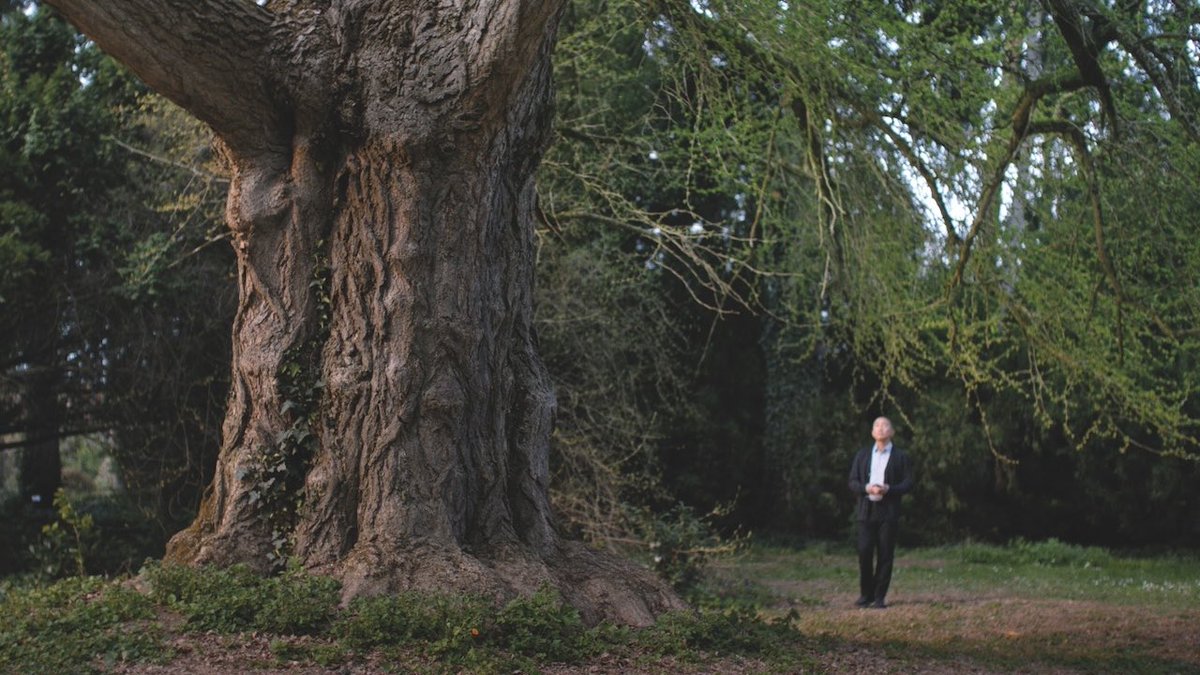FilmLandEmpire's tweet image. SILENT FRIEND does for botany what COLUMBUS did for architecture, the exploration of its connection and effect on human lives as gentle as it is profound. Delicate, affecting and quite a bit left field too, a very beautiful film. I adored it! #LFF