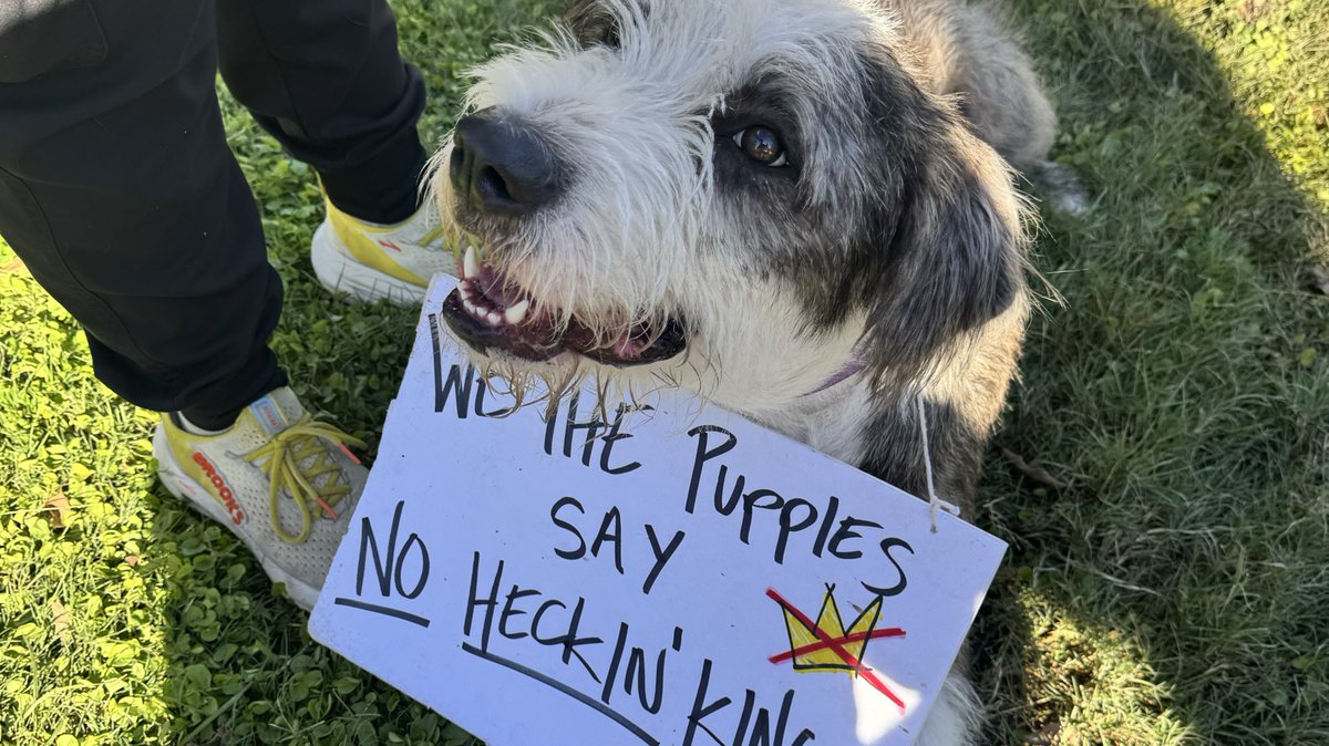 Keep Arizona Blue Student Coalition tweet media