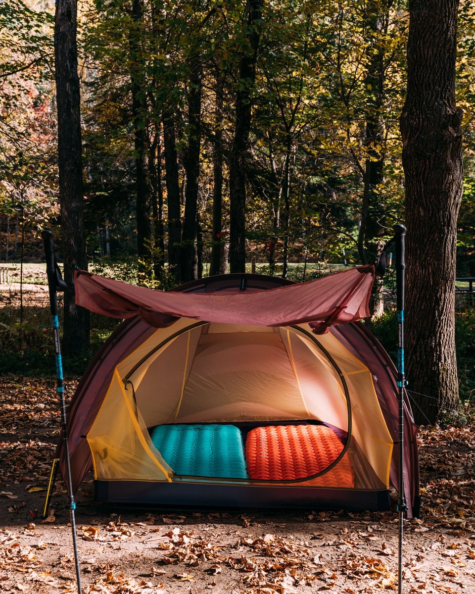 WindQuester's tweet photo. 🍁 Algonquin in full color — reds, golds, and endless forest vibes.
Nothing beats crisp air, golden light, and quiet trails before the leaves fall.
#AlgonquinPark #FallColors #OntarioHiking https://t.co/wC0hh9MjHg