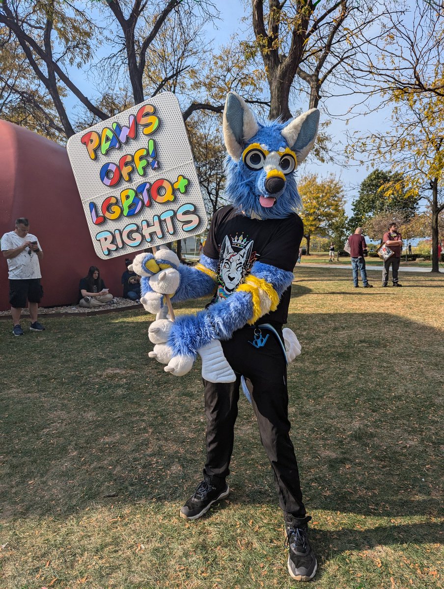 Zororeo! 🪽 tweet media