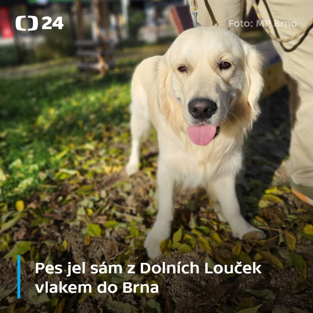 Vojtěch Gibiš tweet media