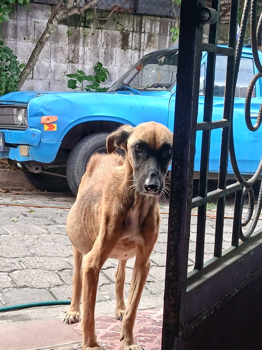 Bery Zamora tweet media