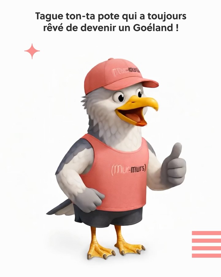 matthieulegall's tweet image. #brestopen via.groupe-telegramme.com/JMqrKSnhr51q