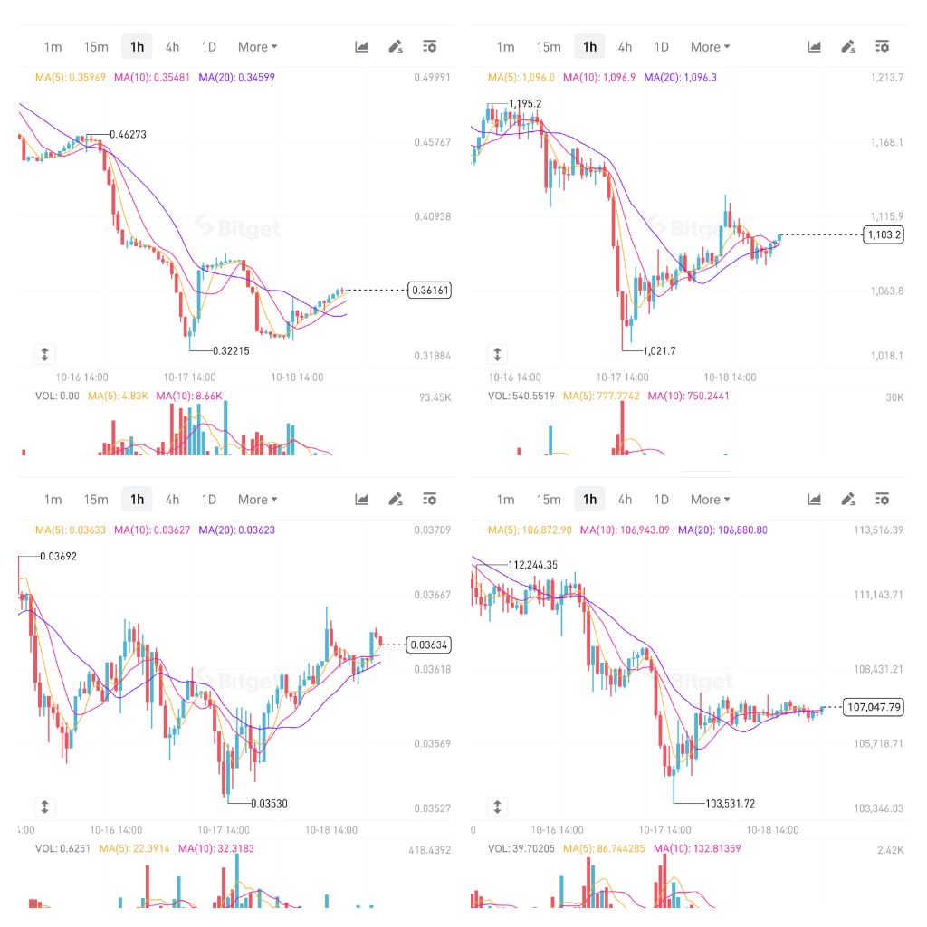 RealHydraRayhan's tweet photo. Red days build legends.
• Next breakout = history in motion 💪
$MAT leading innovation, $BTC & $ETH holding the base, $BNB powering the chain ⚡.
Momentum is brewing . So stay focused, stay early 🚀
#Matchain #CryptoCommunity #BNB #Web3 #Bullish https://t.co/1KDmmoWNz2