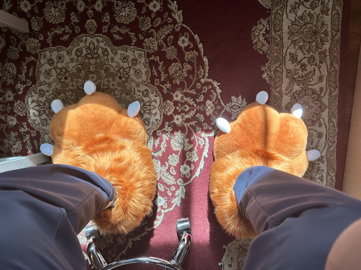 DJ 💪🐶 🔜 LVFC, EDC tweet media