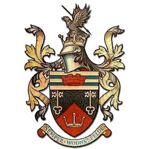 Wednesfield FC Kitman tweet media