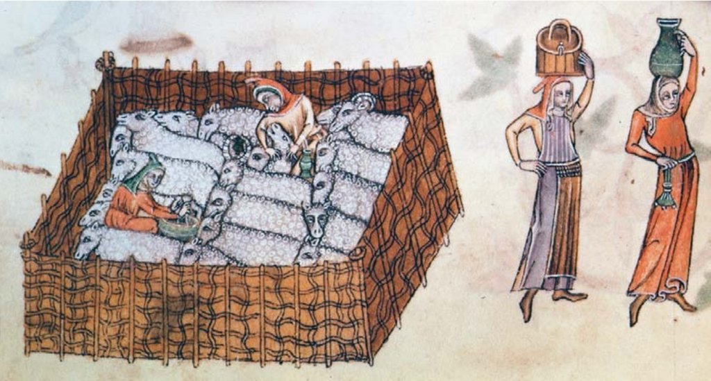 Women at work in the 14th century