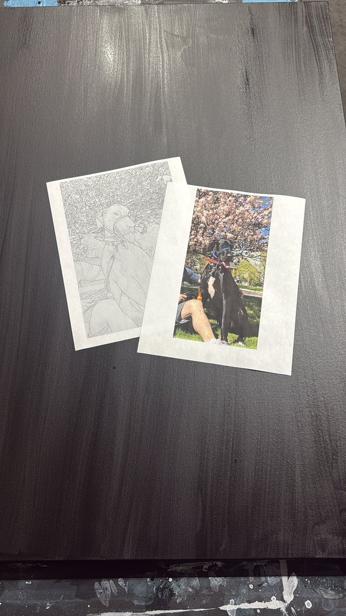 I will only paint your dog if you give me Bitcoin 🤝🧡