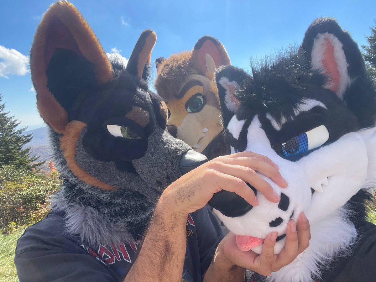 I’ve decided he no longer gets to say anything you are all welcome