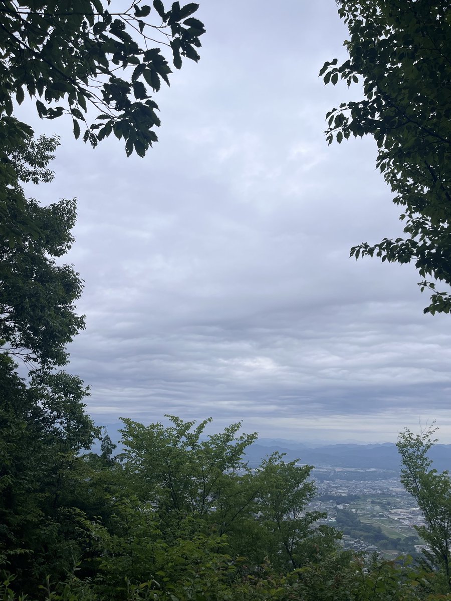 ナ*サ様 【サイン】かなめ テレサ Synthesizer V AI ついなちゃん コンプリート｜製品情報｜AHS(AH