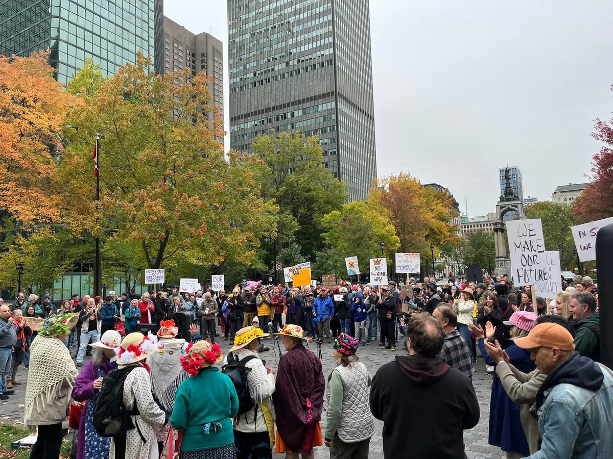 Occupy Democrats tweet media