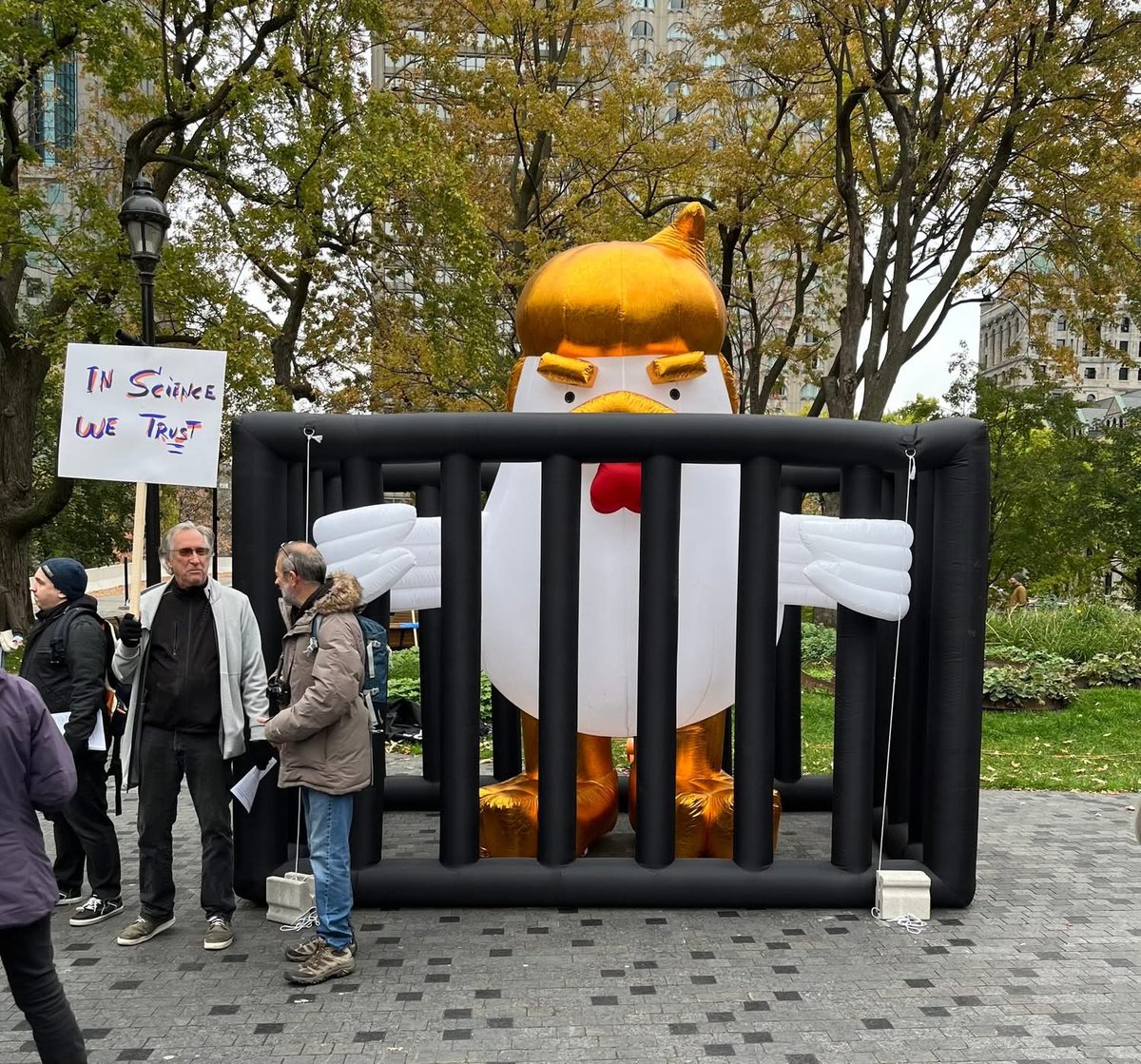 Occupy Democrats tweet media