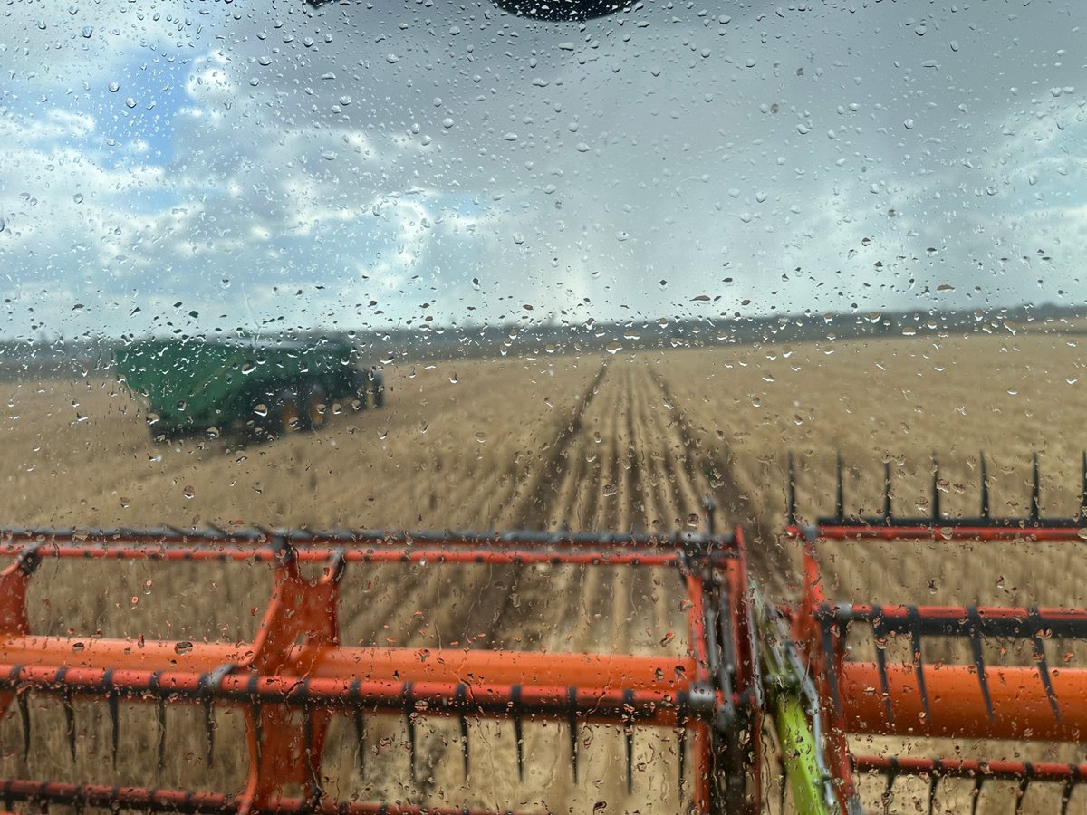 Third time lucky today. 🤦‍♂️