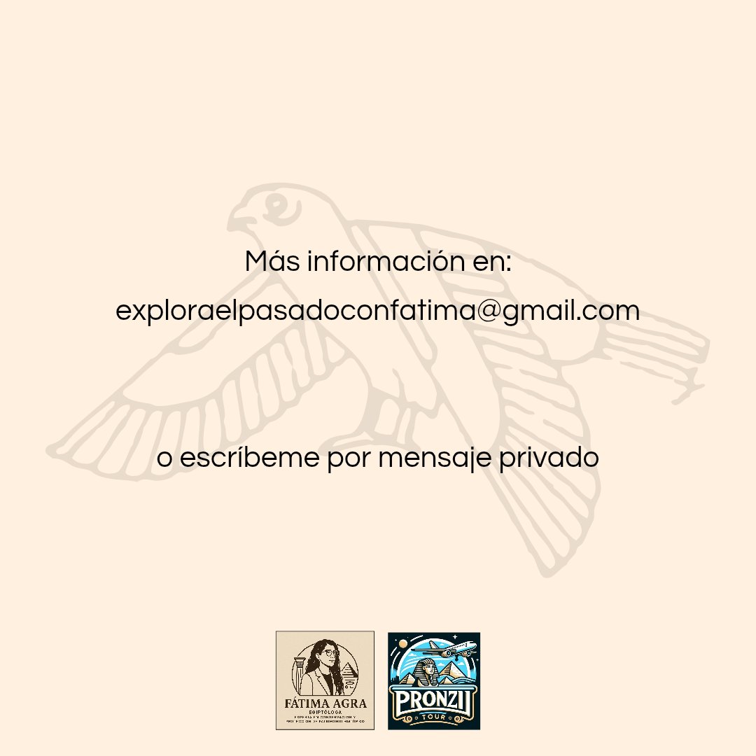 Fátima Agra Padín tweet media