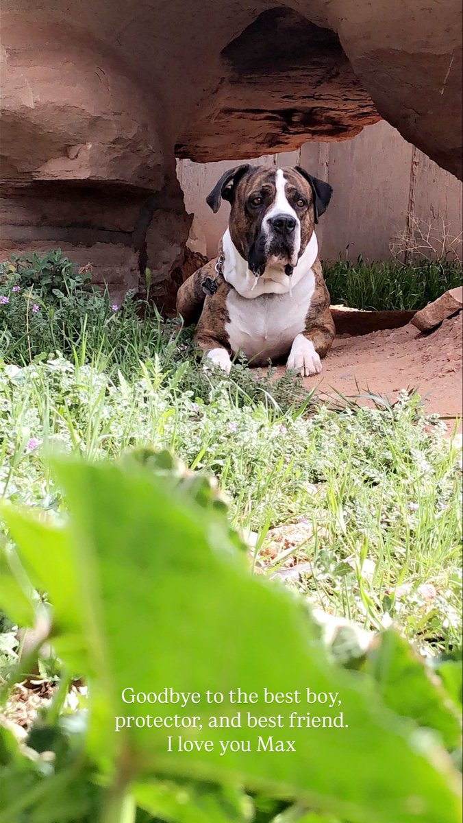 𓆱 ashole ☪︎ ֶ֢࣪⋆𓄃 tweet media