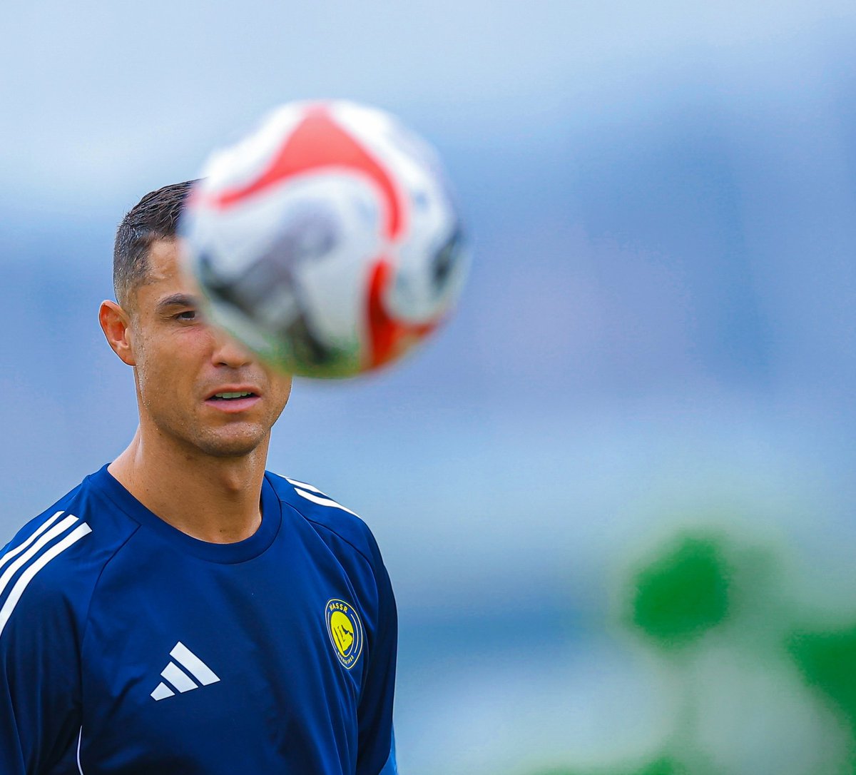 ألونسو tweet media