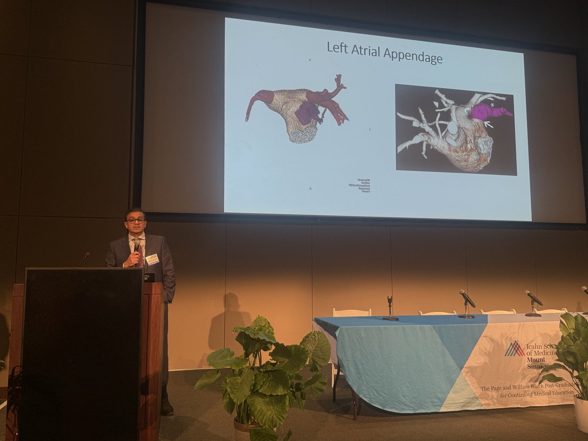 LucySafi's tweet photo. Exciting day at #EchoNY hosted at Mount Sinai Hospital — a premier meeting dedicated to advancing echo and structural heart imaging education. Great talks & hands-on learning with world-class faculty! 💓🩺 @MountSinaiNYC @argulian @docvikrama @JGrapsa @KKoulogiannis https://t.co/cJ3rAJ5tm2