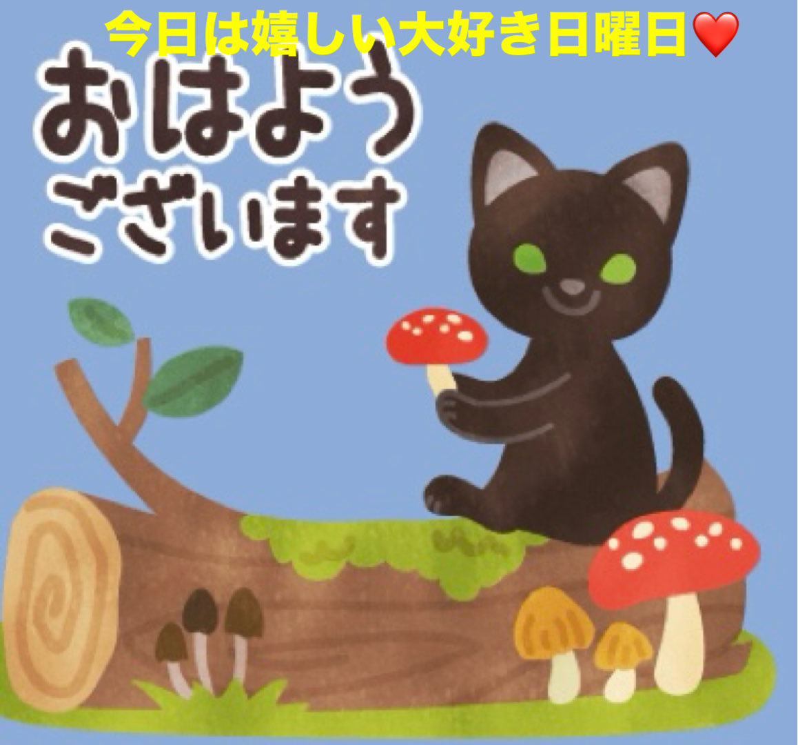 ミモザ☆Tokyo on X